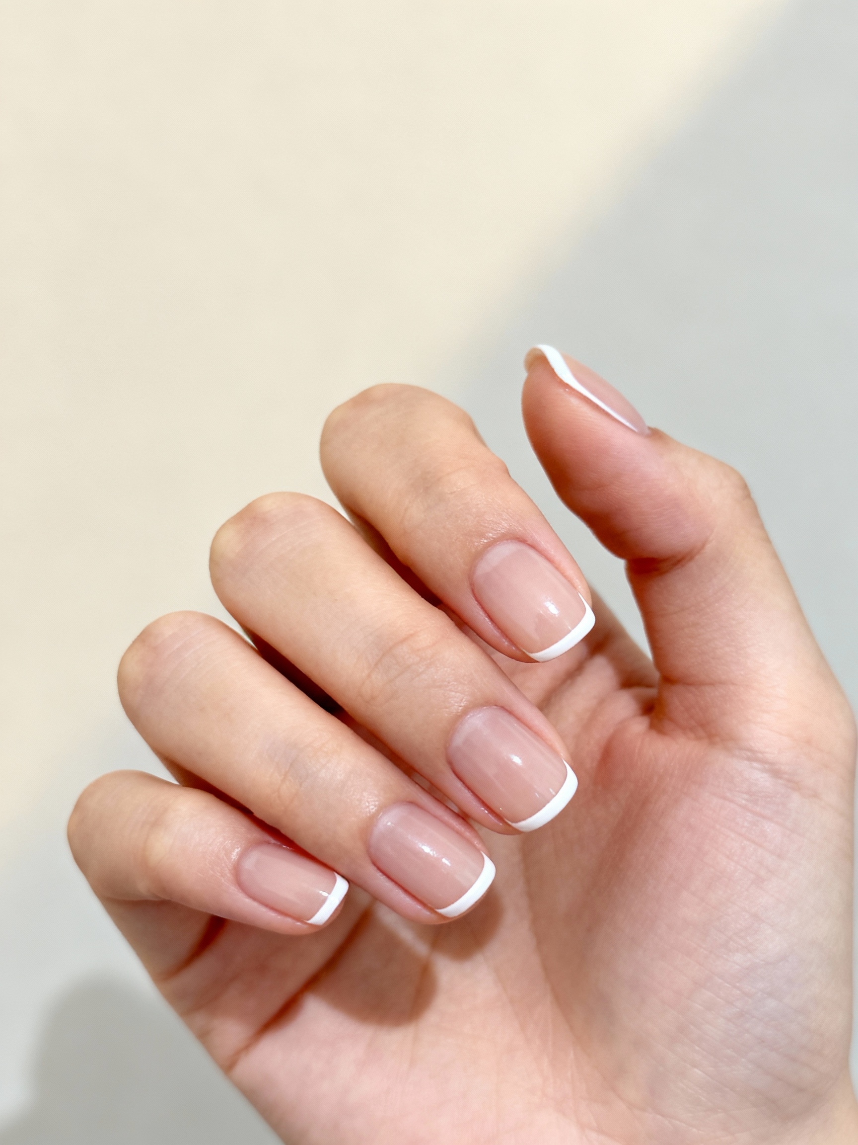 delicate micro french naillines