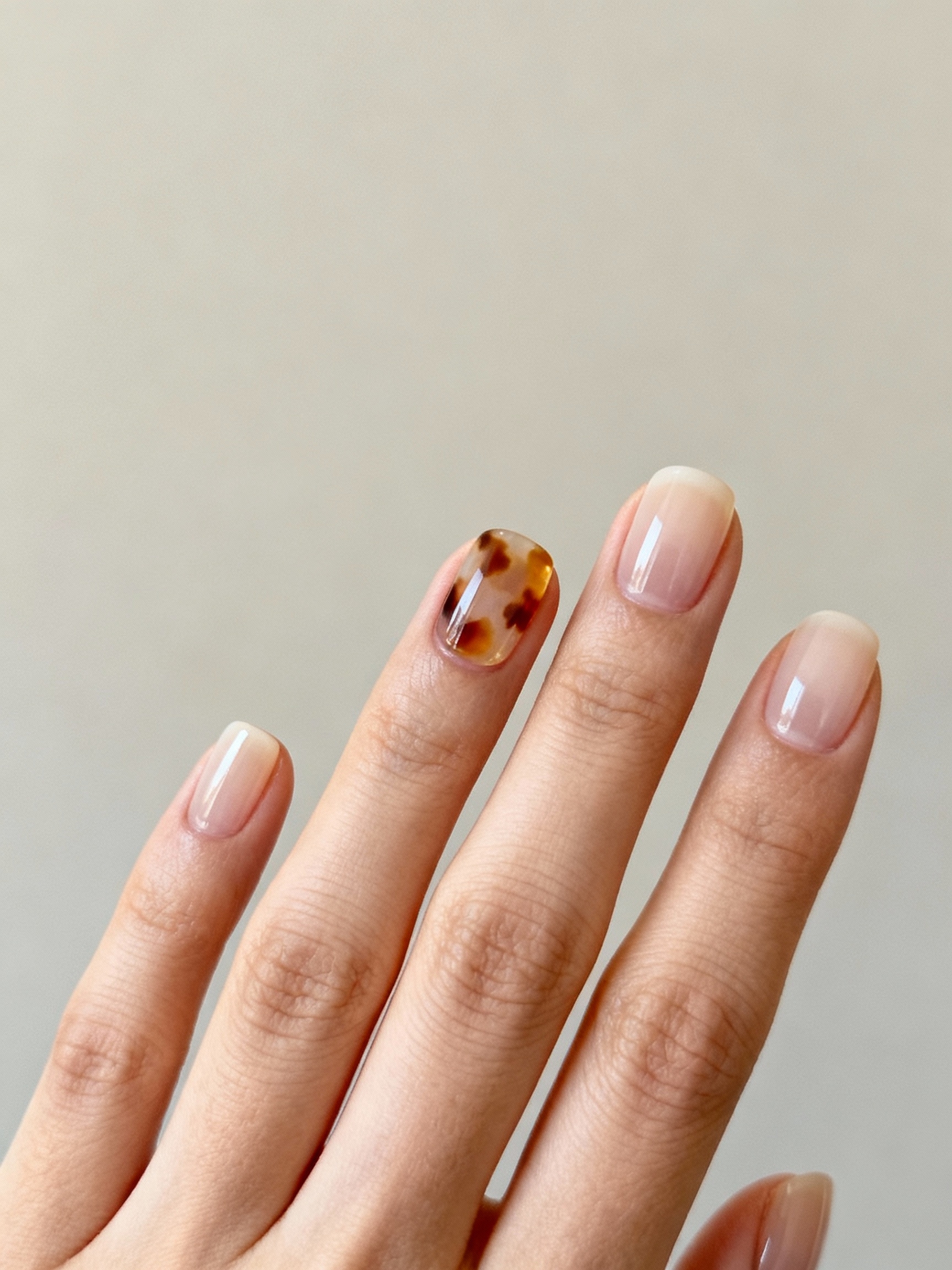 warm glossy tortoiseshell accents